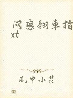 网恋翻车指南txt