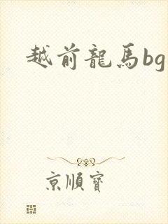 越前龙马bg
