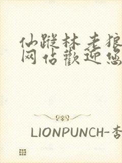 仙踪林老狼官方网站欢迎您