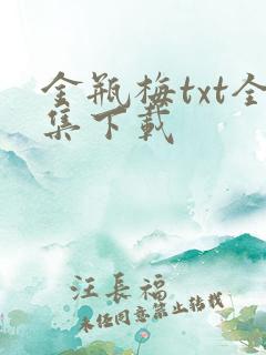 金瓶梅txt全集下载