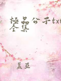 极品公子txt全集