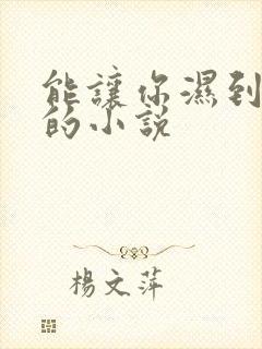 能让你湿到不行的小说