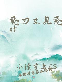 飞刀又见飞刀txt