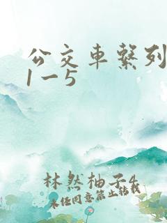 公交车系列合集1一5