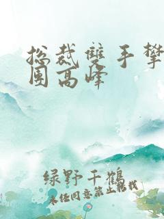 总裁双手攀上两团高峰