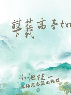 护花高手txt下载