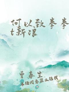 何以致拳拳txt新浪