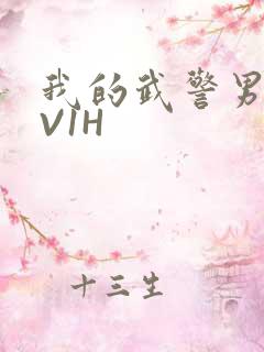 我的武警男友1V1H