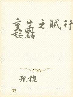 重生之贼行天下起点