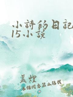 小诗的日记1一15小说
