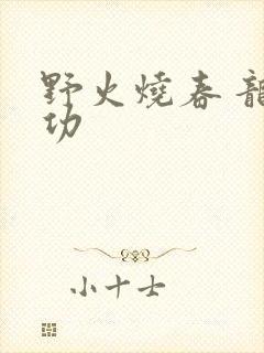 野火烧春 龙鸣功