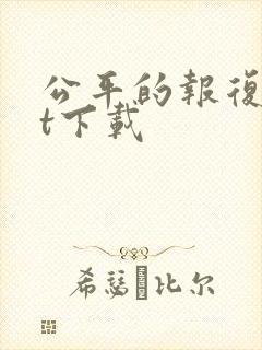 公平的报复txt下载