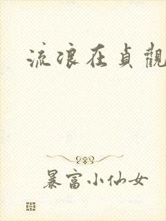 流浪在贞观年间