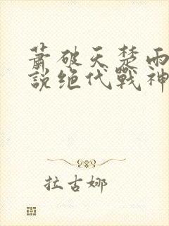 萧破天楚雨馨小说绝代战神