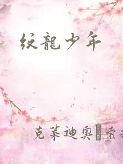 纹龙少年