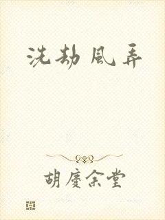 洗劫 风弄