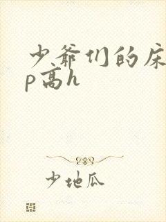 少爷们的床奴np高h