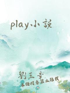 play小说