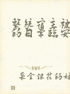 系统宿主被浇灌的日常临安免费