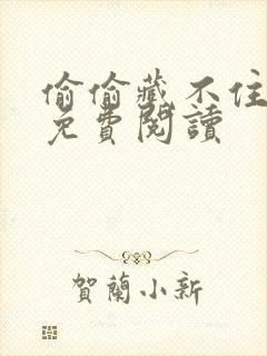 偷偷藏不住小说免费阅读