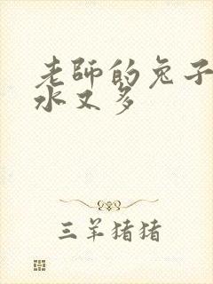 老师的兔子又软水又多