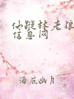 仙踪林老狼贰佰信息网
