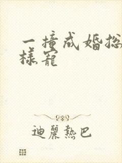 一撞成婚总裁花样宠