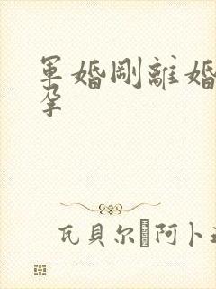 军婚刚离婚就怀孕