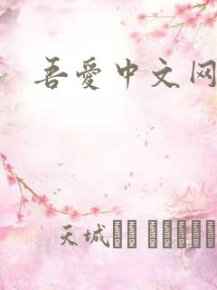 吾爱中文网
