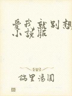 爱我就别想太多小说版