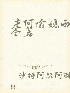 老何偷媳雨嫌儿全篇