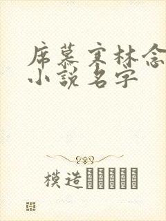 席慕寒林念儿的小说名字