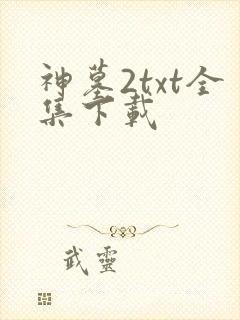 神墓2txt全集下载