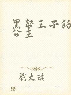 黑帮王子的淘气公主