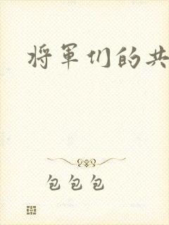 将军们的共妻H