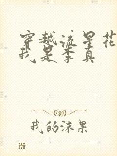 穿越流星花园之我是李真