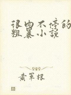 很肉不停的做很粗暴小说