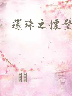 还珠之怀璧其罪