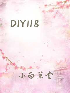 DIYI18