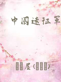 中国远征军下载