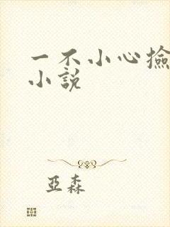 一不小心捡到爱小说