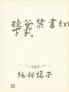 硅谷禁书txt下载