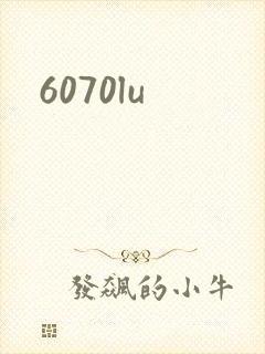 6070lu