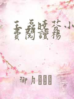 王磊晓芬小说免费阅读杨