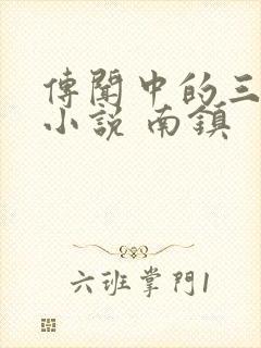 传闻中的三公主小说 南镇