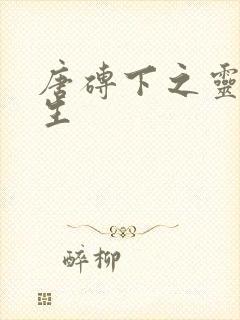 唐砖下之灵域双生