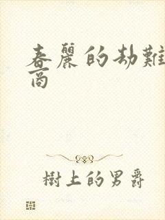 春丽的劫难军火商