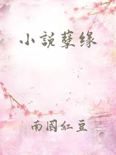 小说孽缘