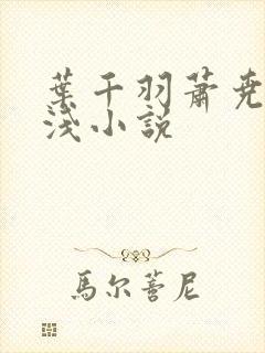 叶千羽萧尧白清浅小说