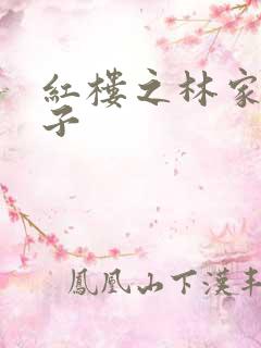红楼之林家庶长子